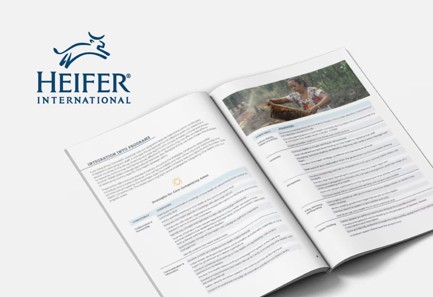 Heifer International Talooka Studio